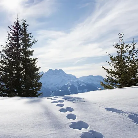 Grenat 35 By Interhome *